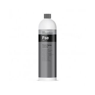 Finish Spray Exterior