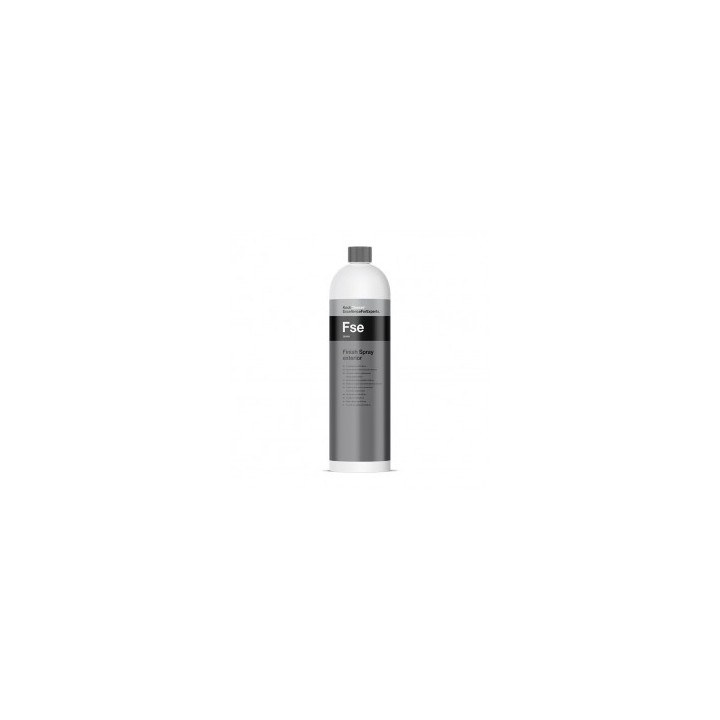 Finish Spray Exterior