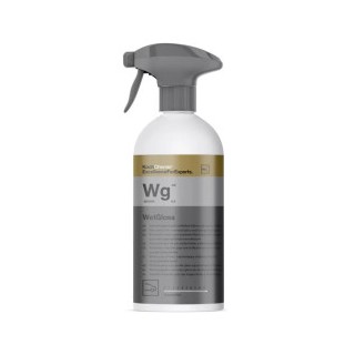 KOCH CHEMIE WET GLOSS