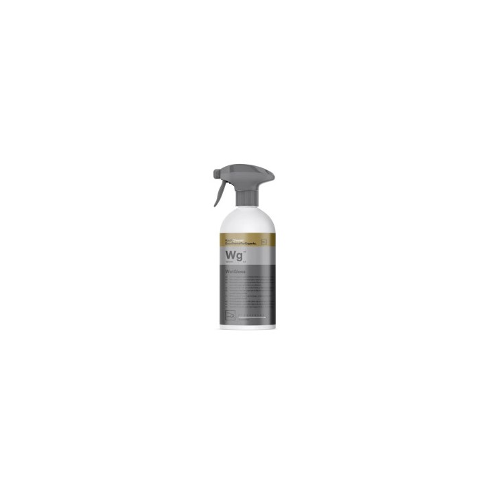 KOCH CHEMIE WET GLOSS
